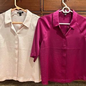 2 for $20! Express Cropped Button-Downs